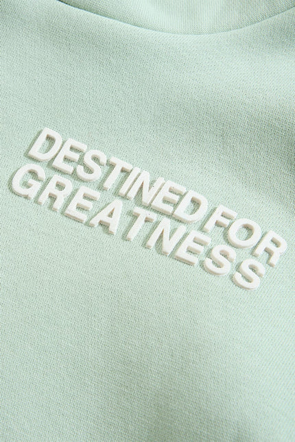 Boys Destined for Greatness Hoody (Top Only)