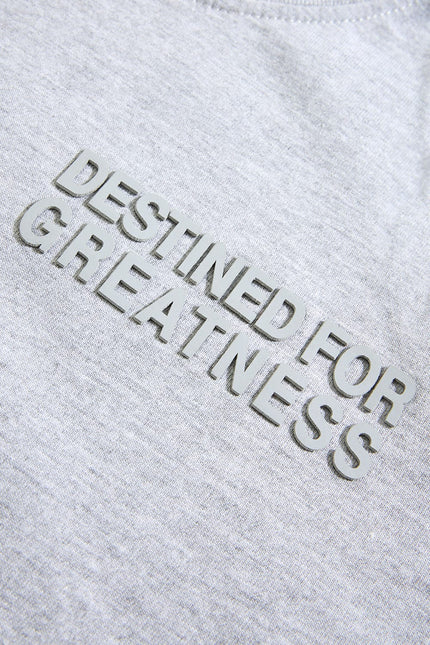 Destined For Greatness Grey Boys Tee