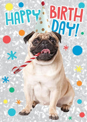 Happy Birthday Dog Greeting Card